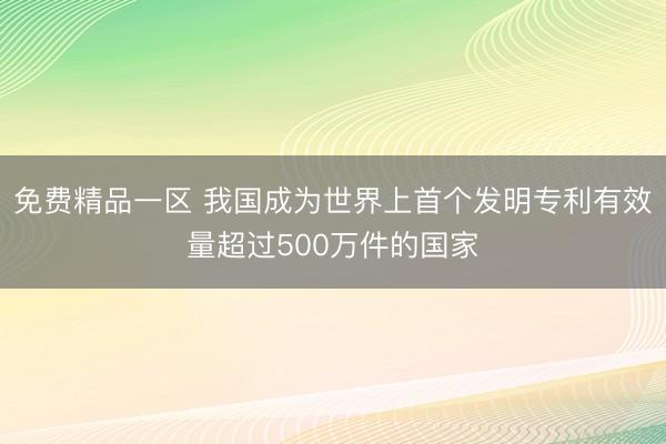 免费精品一区 我国成为世界上首个发明专利有效量超过500万件的国家