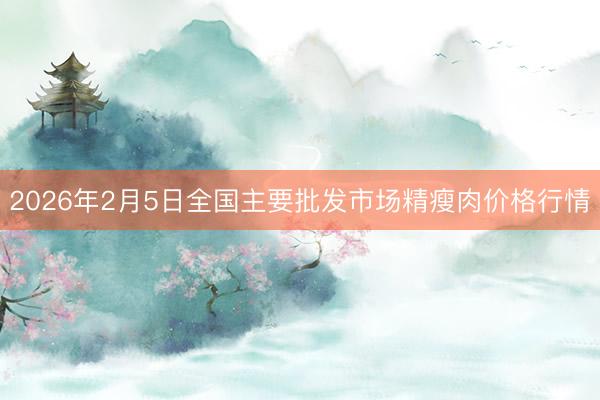 2026年2月5日全国主要批发市场精瘦肉价格行情