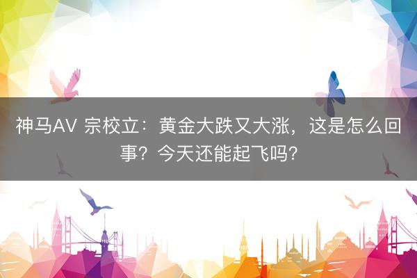 神马AV 宗校立：黄金大跌又大涨，这是怎么回事？今天还能起飞吗？