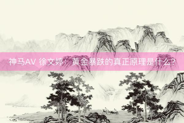 神马AV 徐文婷：黄金暴跌的真正原理是什么？