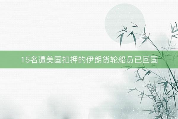 15名遭美国扣押的伊朗货轮船员已回国