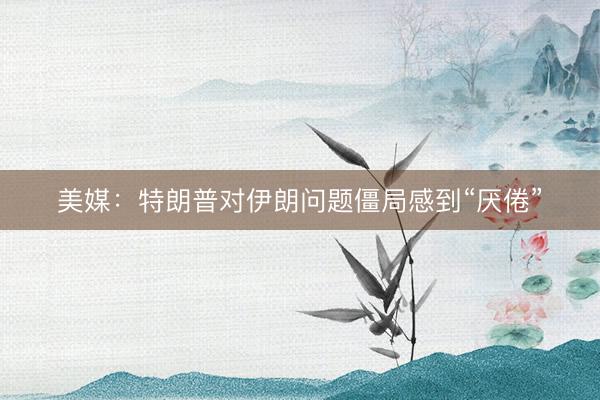 美媒：特朗普对伊朗问题僵局感到“厌倦”