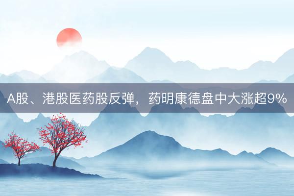 A股、港股医药股反弹，药明康德盘中大涨超9%