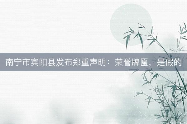 南宁市宾阳县发布郑重声明：荣誉牌匾，是假的