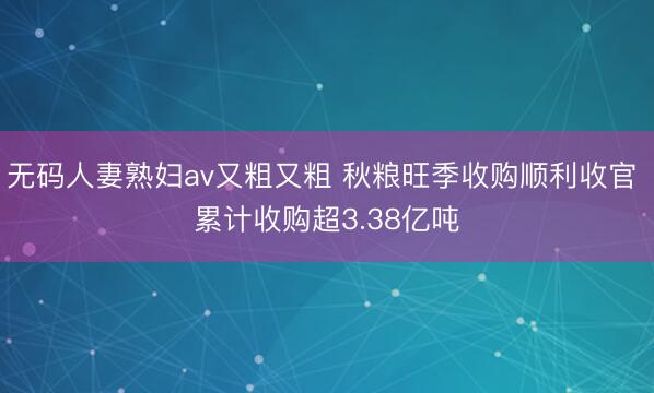 无码人妻熟妇av又粗又粗 秋粮旺季收购顺利收官 累计收购超3.38亿吨