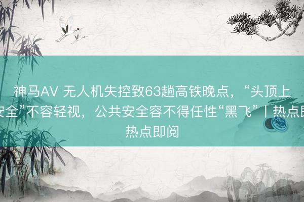 神马AV 无人机失控致63趟高铁晚点，“头顶上的安全”不容轻视，公共安全容不得任性“黑飞”丨热点即阅