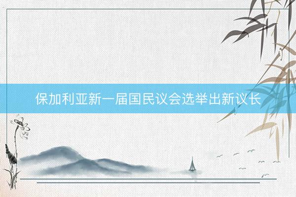 保加利亚新一届国民议会选举出新议长