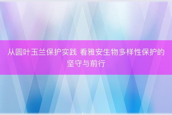 从圆叶玉兰保护实践 看雅安生物多样性保护的坚守与前行