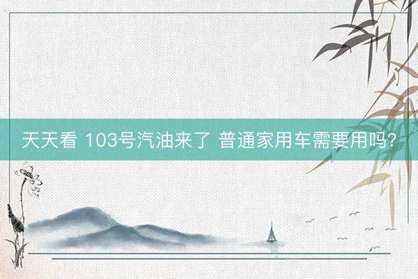 天天看 103号汽油来了 普通家用车需要用吗？