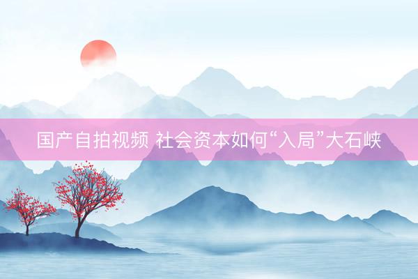 国产自拍视频 社会资本如何“入局”大石峡
