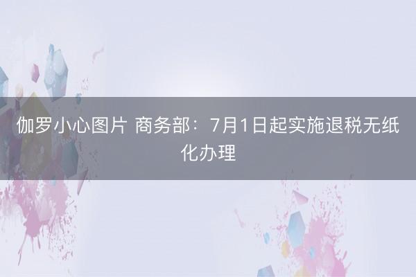 伽罗小心图片 商务部：7月1日起实施退税无纸化办理