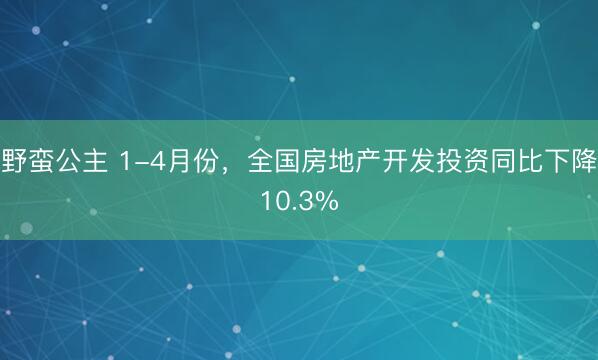 野蛮公主 1-4月份，全国房地产开发投资同比下降10.3%