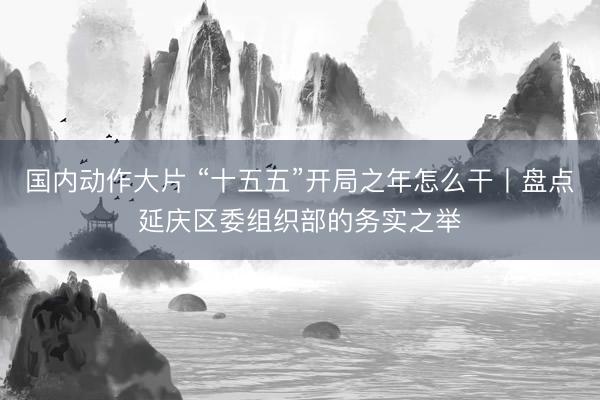 国内动作大片 “十五五”开局之年怎么干丨盘点延庆区委组织部的务实之举