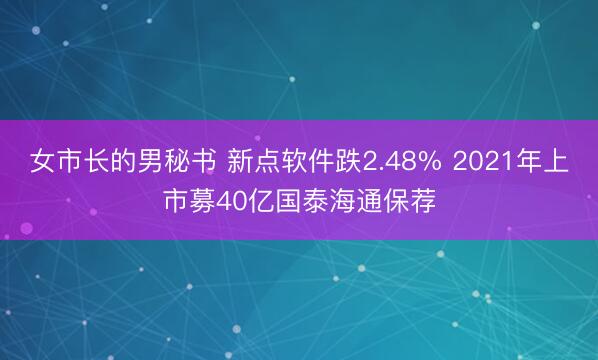 女市长的男秘书 新点软件跌2.48% 2021年上市募40亿国泰海通保荐