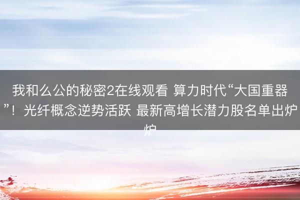 我和么公的秘密2在线观看 算力时代“大国重器”！光纤概念逆势活跃 最新高增长潜力股名单出炉