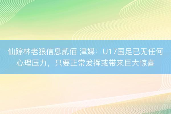 仙踪林老狼信息贰佰 津媒：U17国足已无任何心理压力，只要正常发挥或带来巨大惊喜