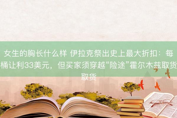 女生的胸长什么样 伊拉克祭出史上最大折扣：每桶让利33美元，但买家须穿越“险途”霍尔木兹取货