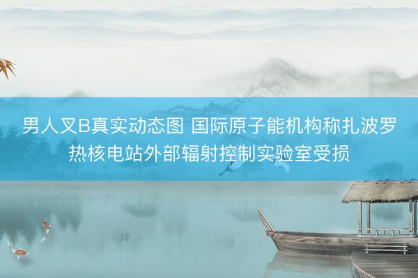 男人叉B真实动态图 国际原子能机构称扎波罗热核电站外部辐射控制实验室受损