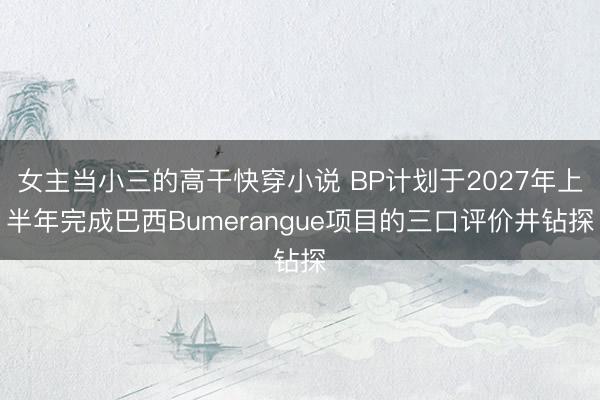 女主当小三的高干快穿小说 BP计划于2027年上半年完成巴西Bumerangue项目的三口评价井钻探