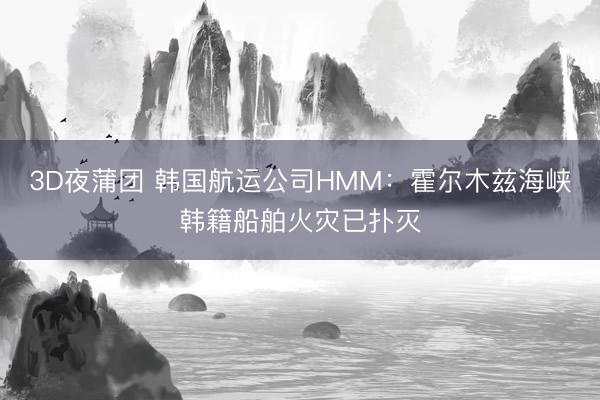3D夜蒲团 韩国航运公司HMM：霍尔木兹海峡韩籍船舶火灾已扑灭