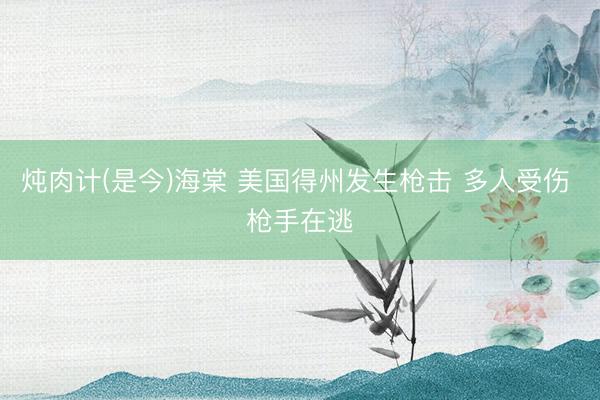 炖肉计(是今)海棠 美国得州发生枪击 多人受伤 枪手在逃