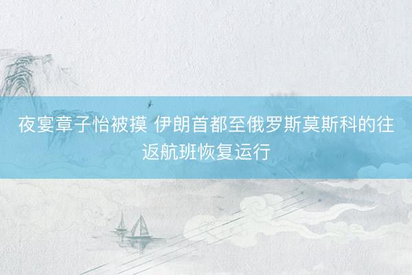 夜宴章子怡被摸 伊朗首都至俄罗斯莫斯科的往返航班恢复运行