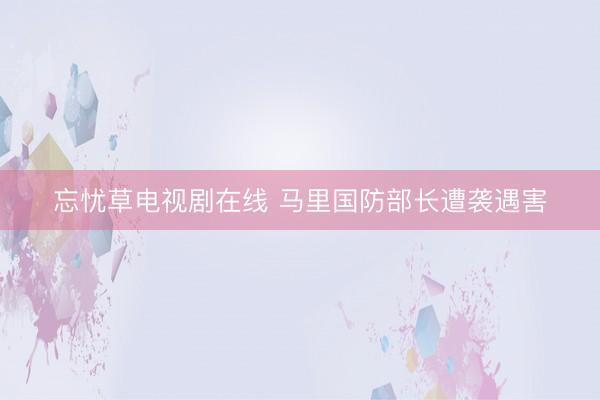 忘忧草电视剧在线 马里国防部长遭袭遇害