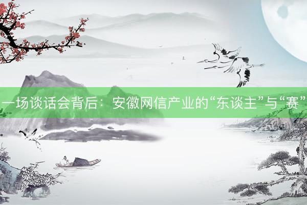 一场谈话会背后：安徽网信产业的“东谈主”与“赛”