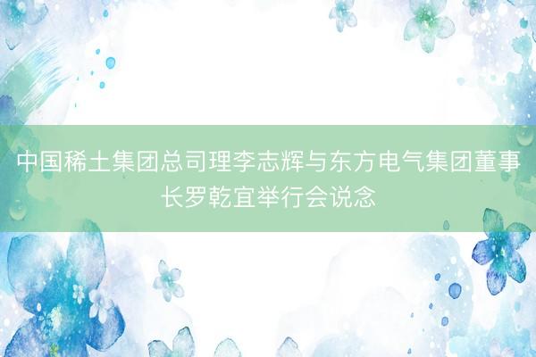 中国稀土集团总司理李志辉与东方电气集团董事长罗乾宜举行会说念