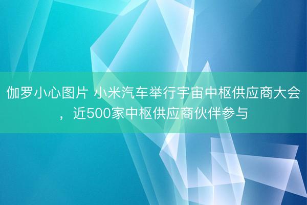 伽罗小心图片 小米汽车举行宇宙中枢供应商大会，近500家中枢供应商伙伴参与
