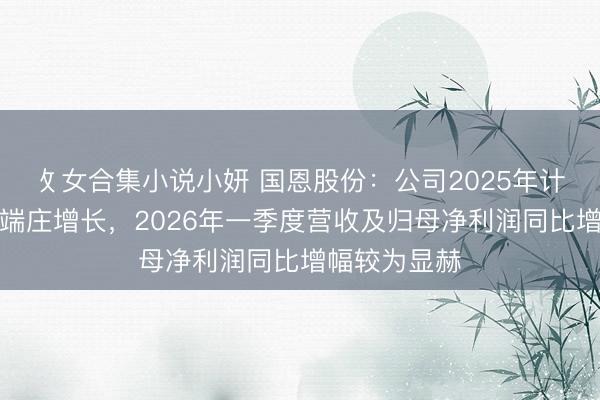 攵女合集小说小妍 国恩股份：公司2025年计较功绩完了端庄增长，2026年一季度营收及归母净利润同比增幅较为显赫