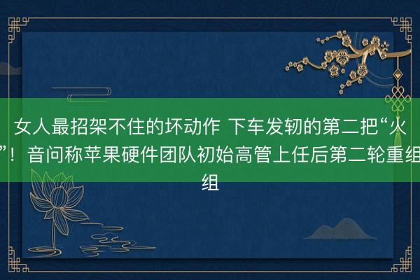 女人最招架不住的坏动作 下车发轫的第二把“火”！音问称苹果硬件团队初始高管上任后第二轮重组