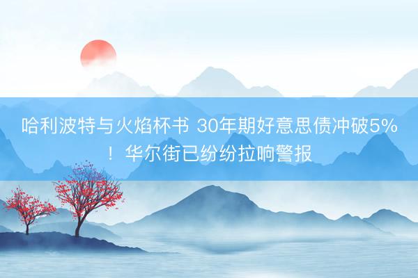 哈利波特与火焰杯书 30年期好意思债冲破5%！华尔街已纷纷拉响警报