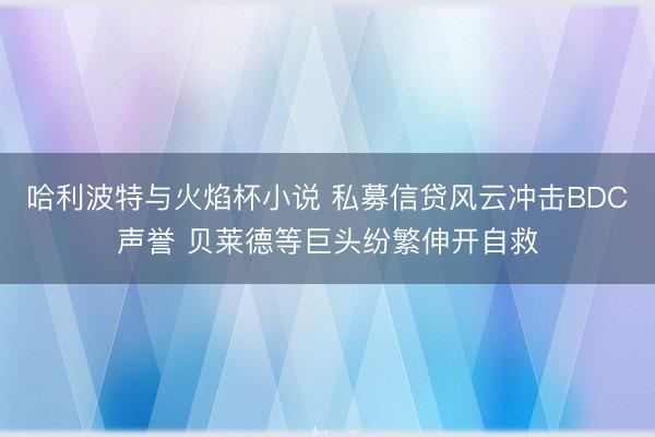 哈利波特与火焰杯小说 私募信贷风云冲击BDC声誉 贝莱德等巨头纷繁伸开自救