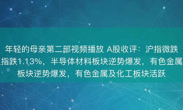 年轻的母亲第二部视频播放 A股收评：沪指微跌0.16%、创业板指跌1.13%，半导体材料板块逆势爆发，有色金属及化工板块活跃
