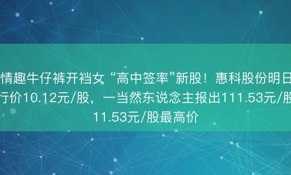 情趣牛仔裤开裆女 “高中签率”新股！惠科股份明日申购刊行价10.12元/股，一当然东说念主报出111.53元/股最高价