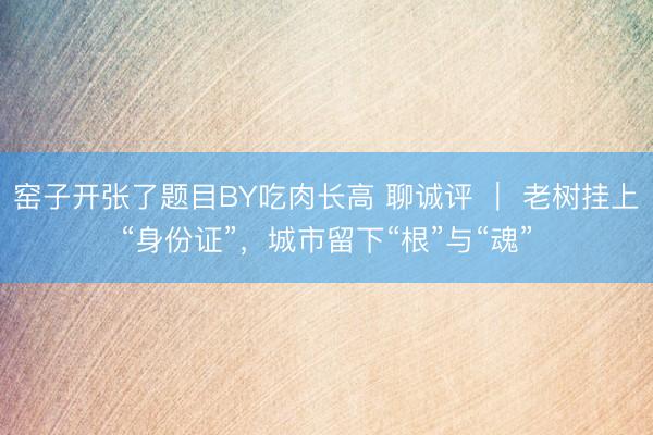 窑子开张了题目BY吃肉长高 聊诚评 ｜ 老树挂上“身份证”，城市留下“根”与“魂”