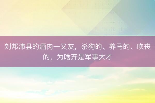 刘邦沛县的酒肉一又友，杀狗的、养马的、吹丧的，为啥齐是军事大才