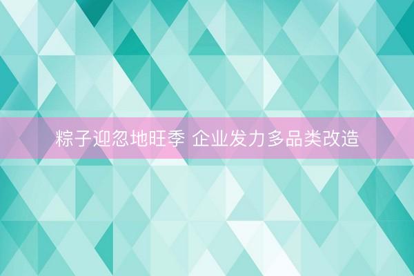 粽子迎忽地旺季 企业发力多品类改造
