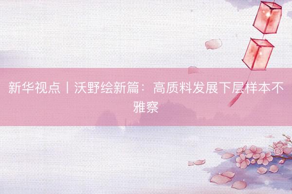 新华视点丨沃野绘新篇：高质料发展下层样本不雅察