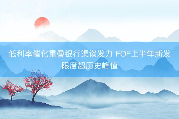 低利率催化重叠银行渠谈发力 FOF上半年新发限度超历史峰值